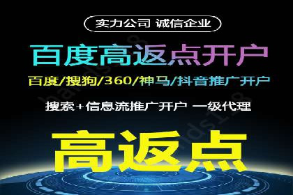 百度竞价代运营案例：电商行业逆袭